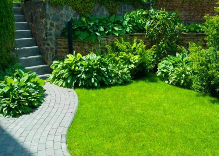 Une entreprise d’entretien de jardin à Pugey